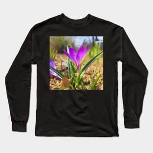 Purple Crocus Close Up Long Sleeve T-Shirt